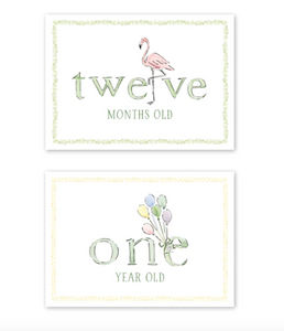 Zoo in the City Milestone Cards - Set of 15