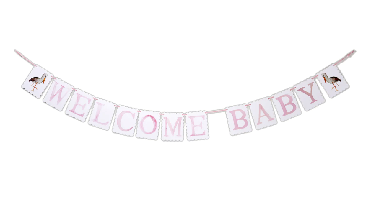 "Welcome Baby" Stork Banner - Pink/Blue Reversible