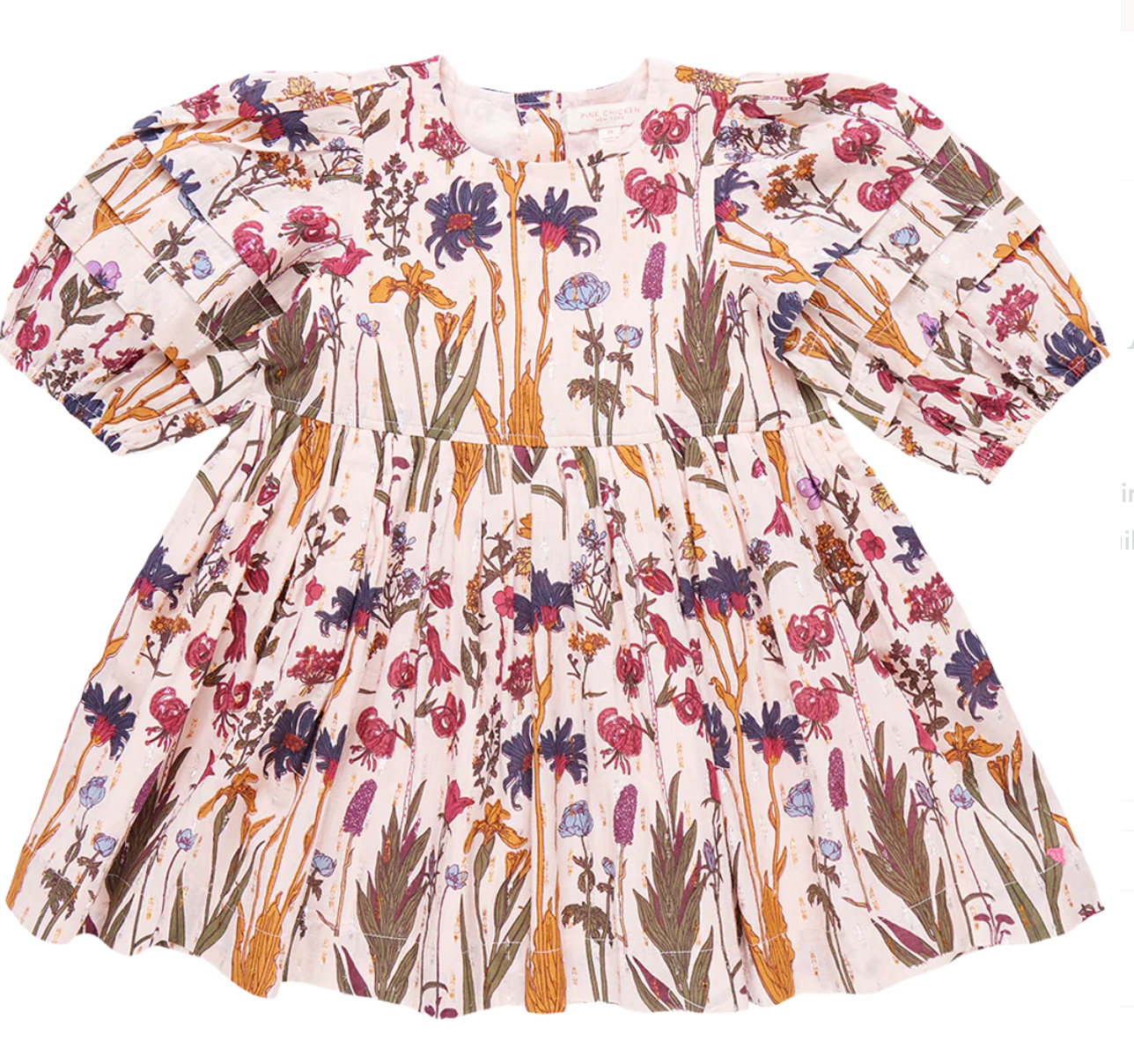 Girls Brooke Dress - Autumn Flowers