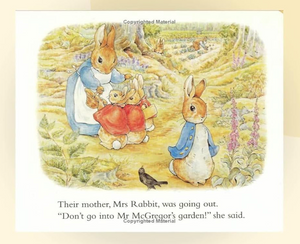 The Tale of Peter Rabbit: A Story Board Book