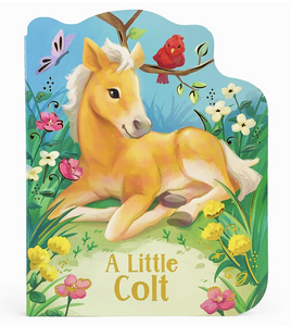 A Little Colt Board Book