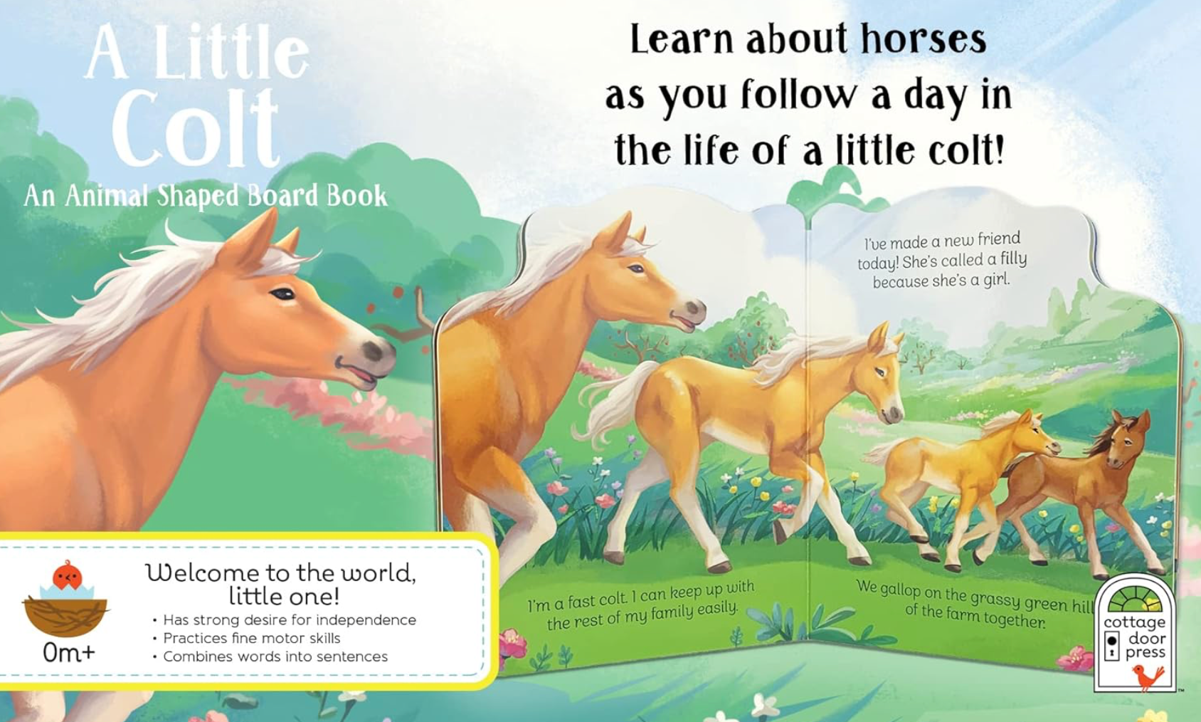 A Little Colt Board Book