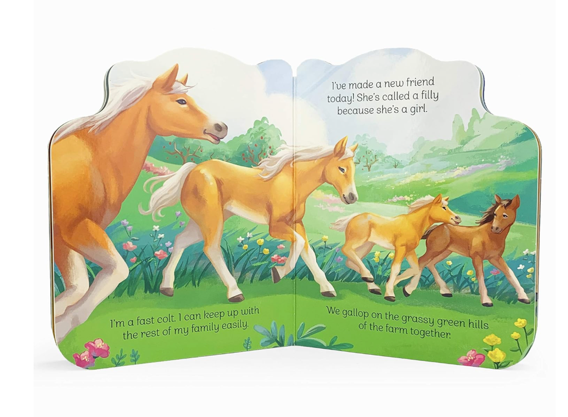 A Little Colt Board Book