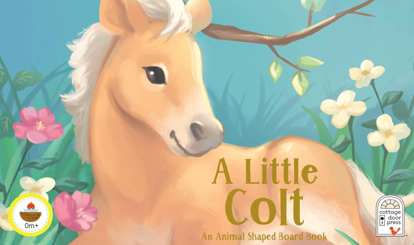 A Little Colt Board Book