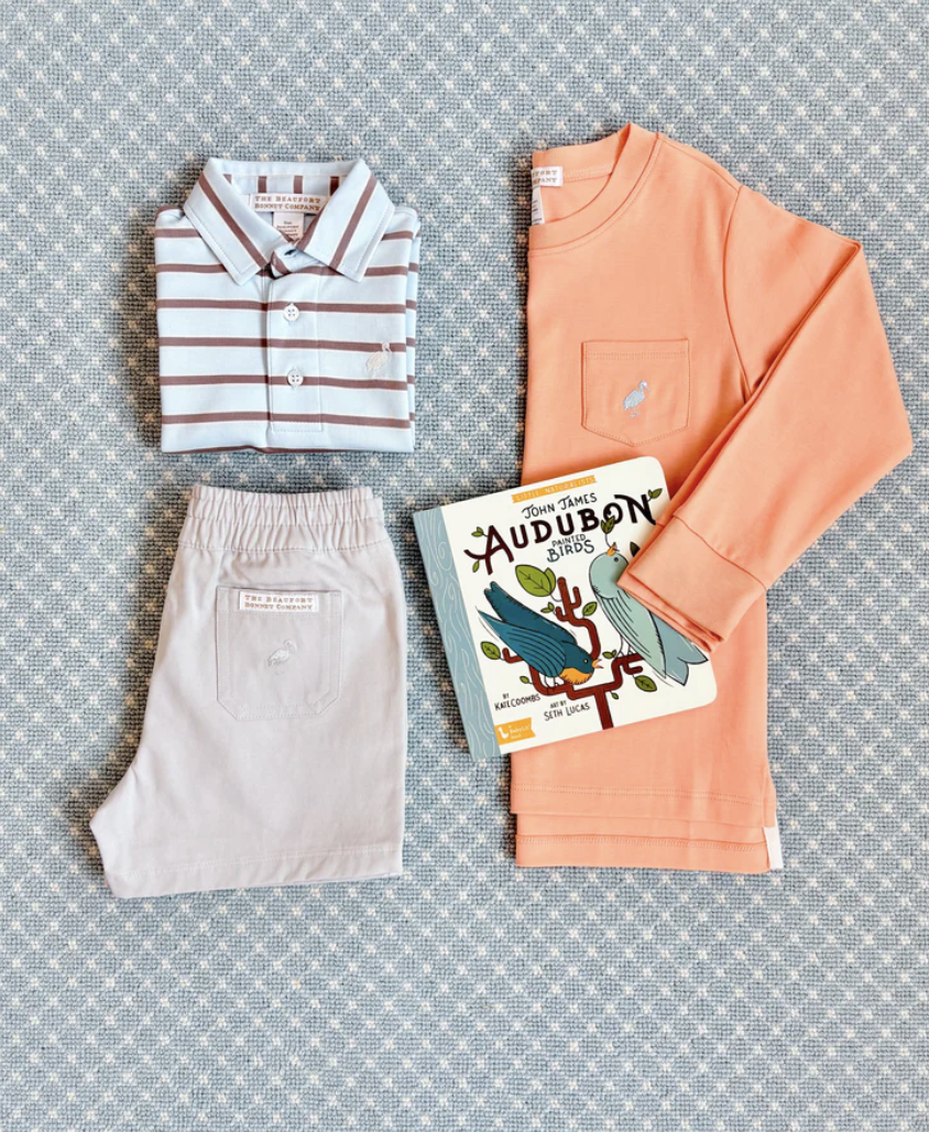 Prim & Proper Polo - Gray Bay Brown Stripe
