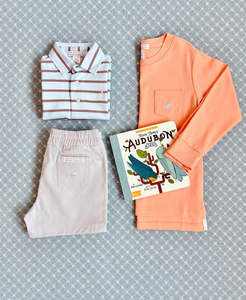 Prim & Proper Polo - Gray Bay Brown Stripe