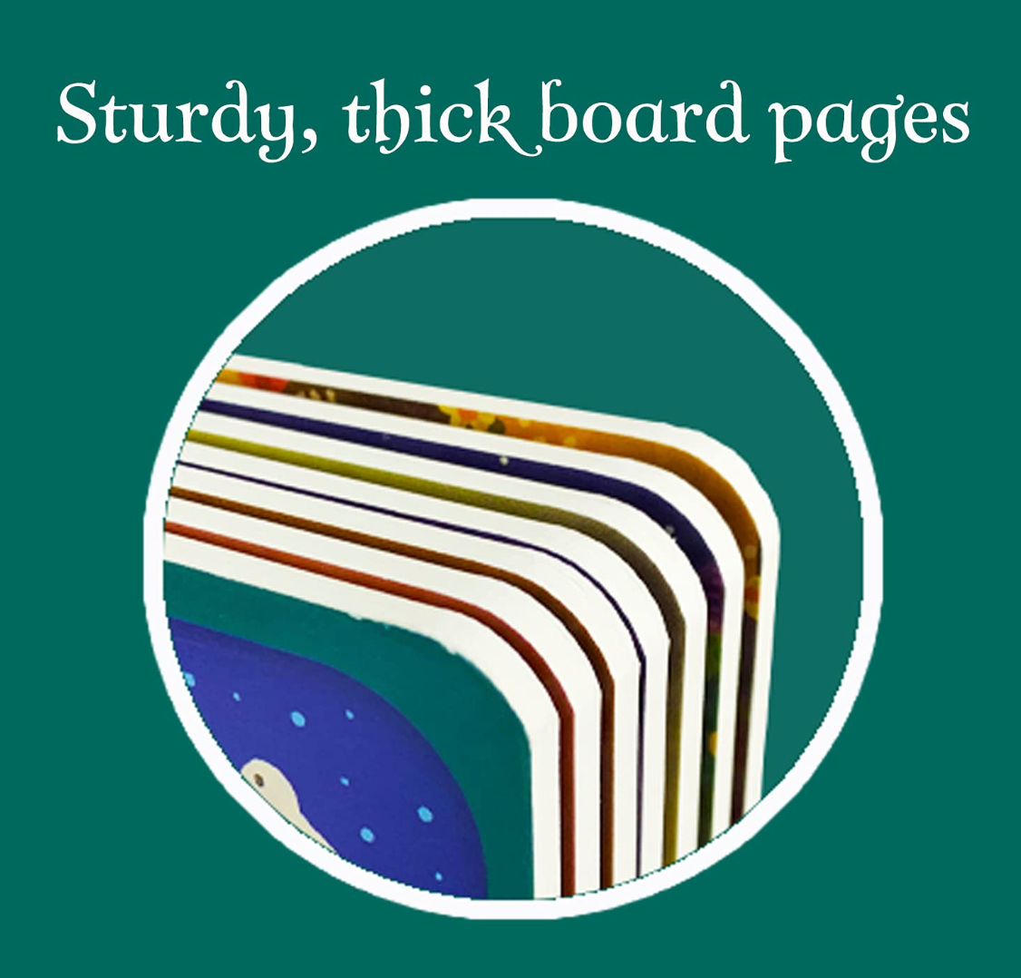 The First Christmas Board Book