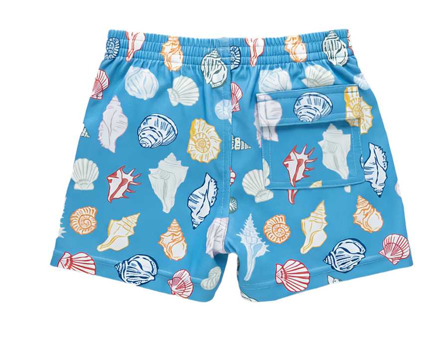 Boys Swim Trunk - Blue Seashells