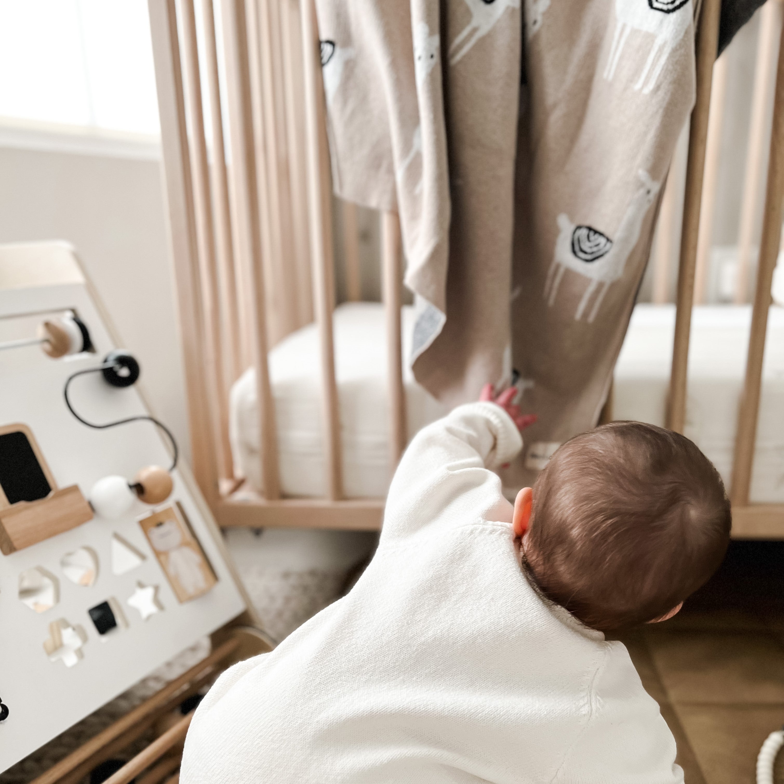 Whimsy Collection - Luxury 100% Cotton Knit Swaddle Baby Blanket